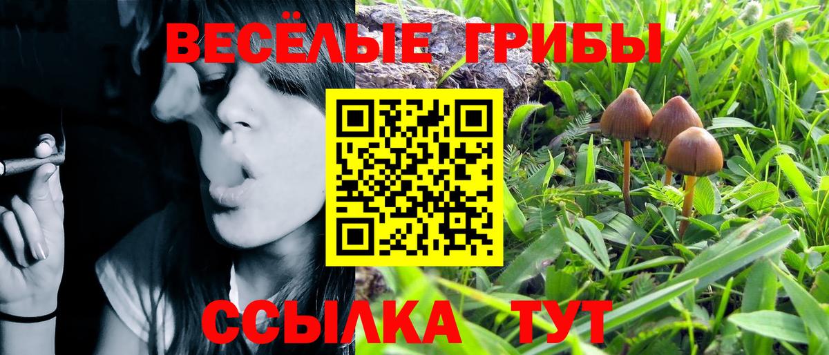 Краснокаменск  Галлюциногенные грибы MAGIC MUSHROOMS  Вход с VPN 