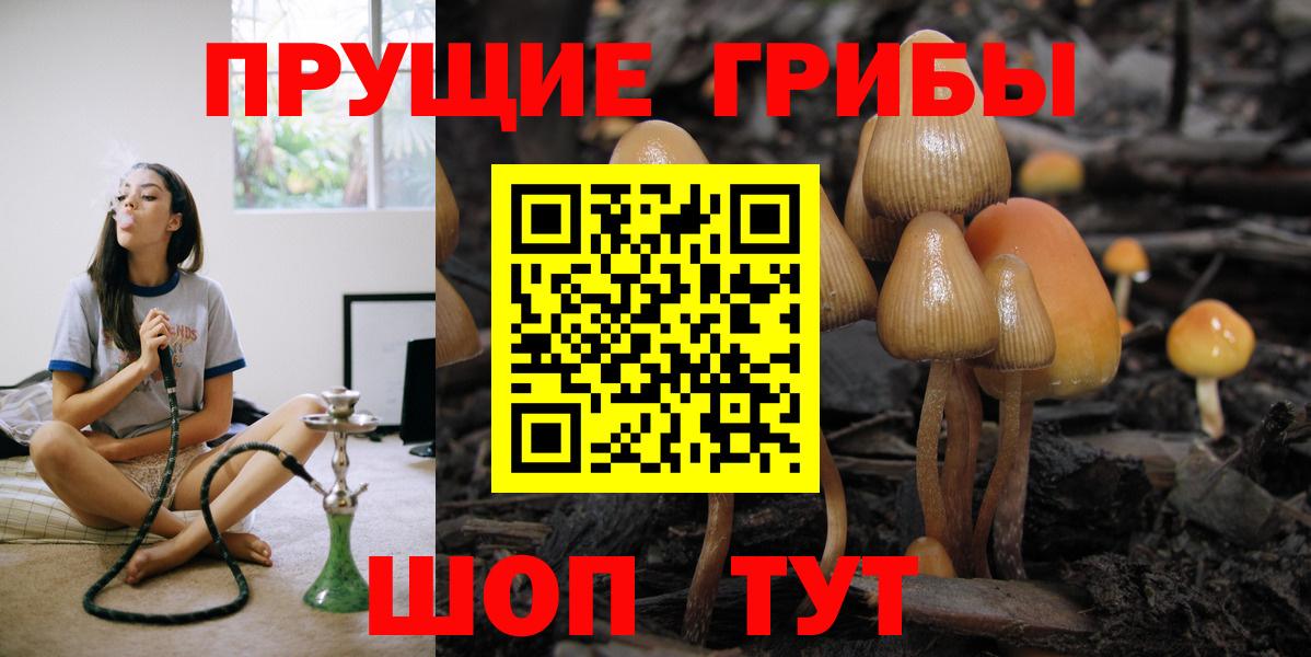 Галлюциногенные грибы мухоморы Краснокаменск